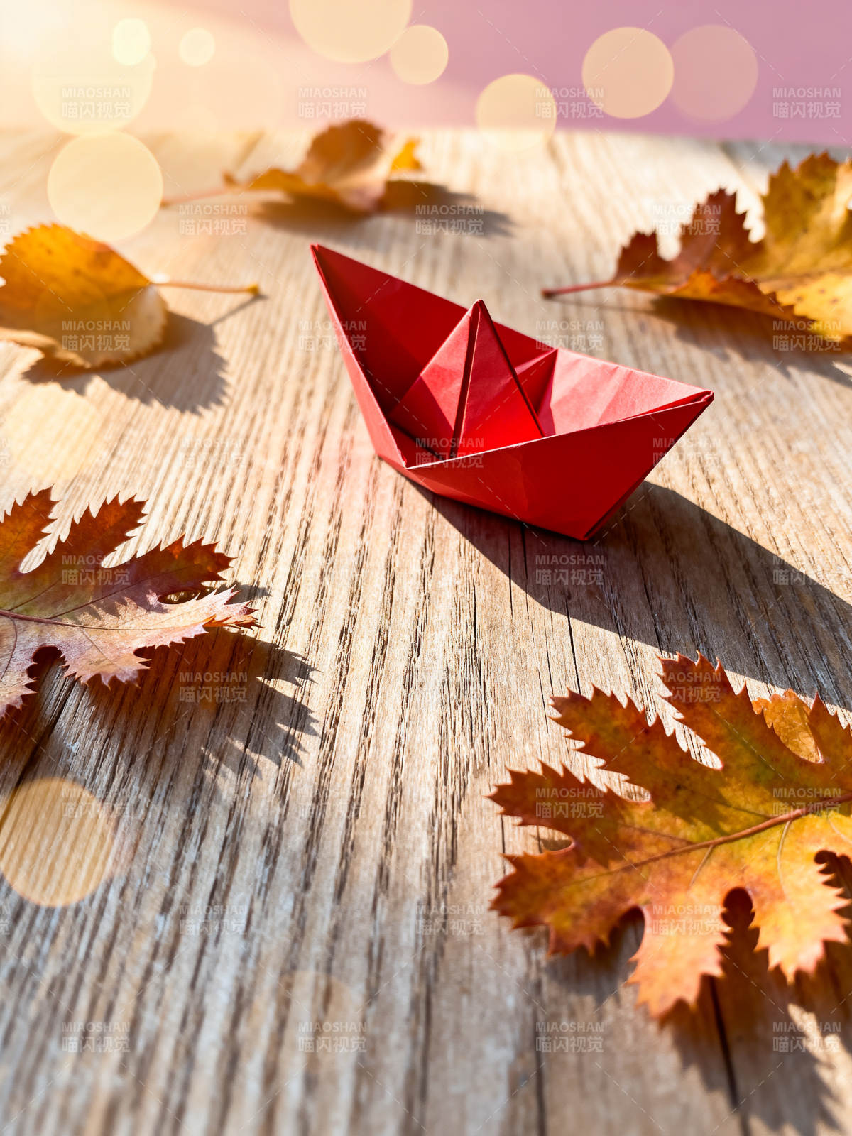 秋叶伴红舟图片