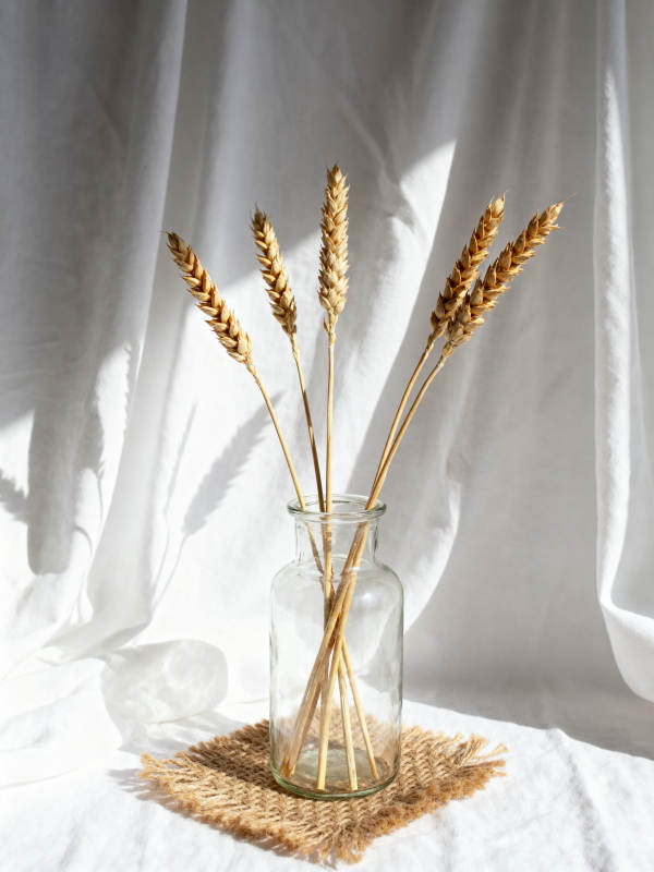 麦穗静物光影图片