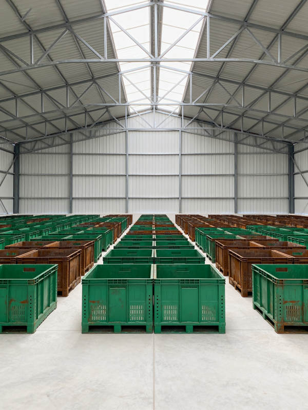 整齐排列的绿色货箱图片