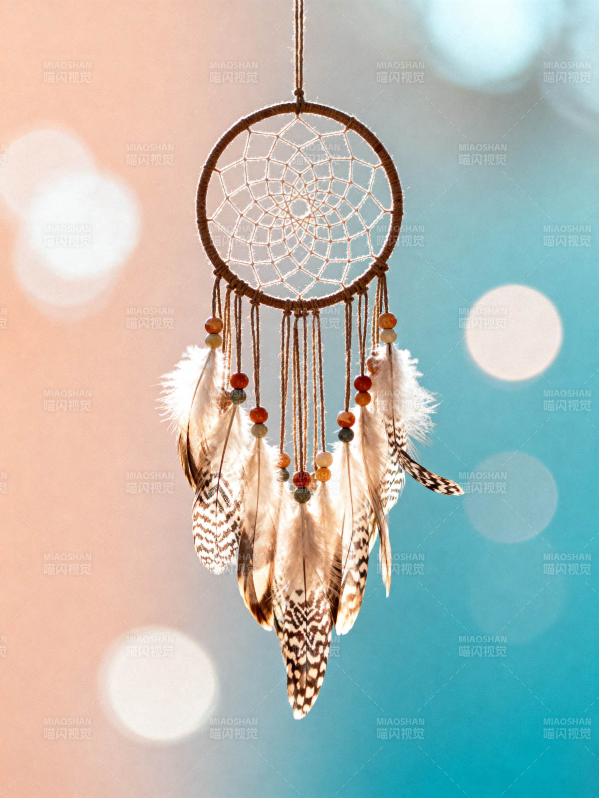 梦幻捕梦网图片