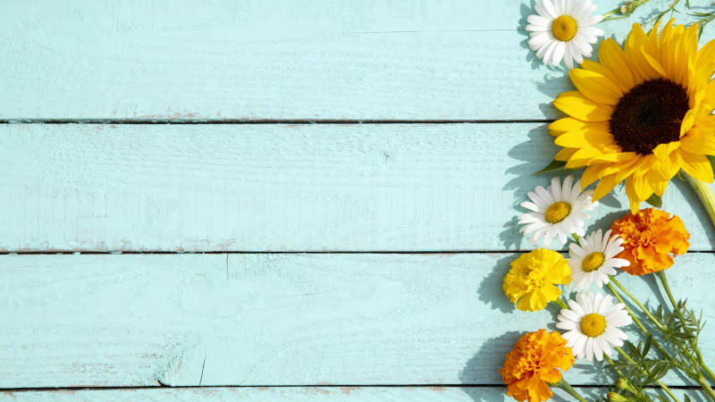 花语静谧时光图片