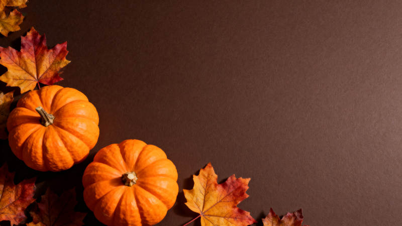 秋日南瓜落叶静景图片