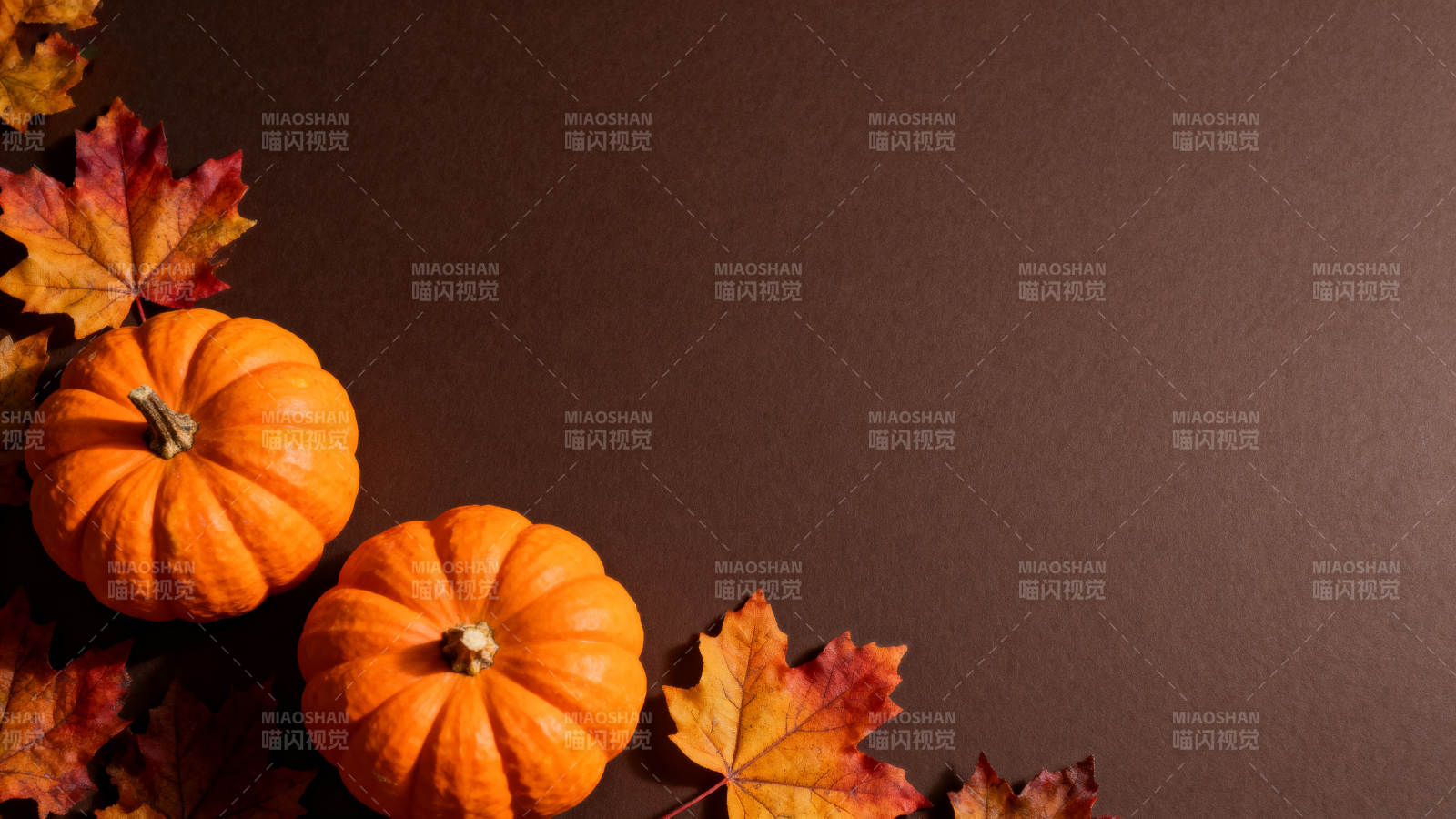 秋日南瓜落叶静景图片