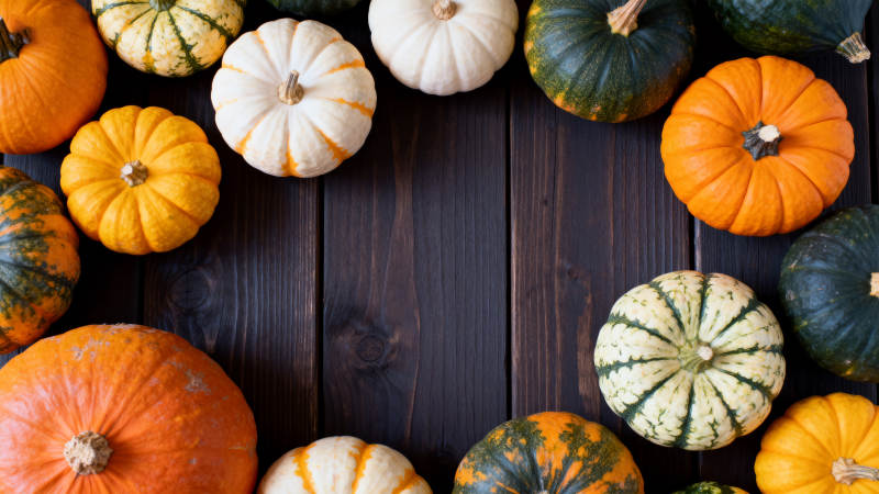 多彩南瓜木桌摆拍图片