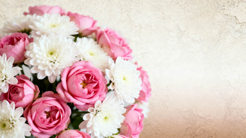 粉白花束静谧美图片