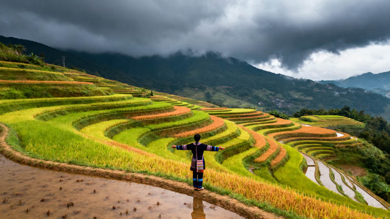 梯田上的舞者图片