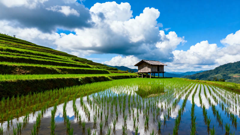 梯田水镜映云天图片