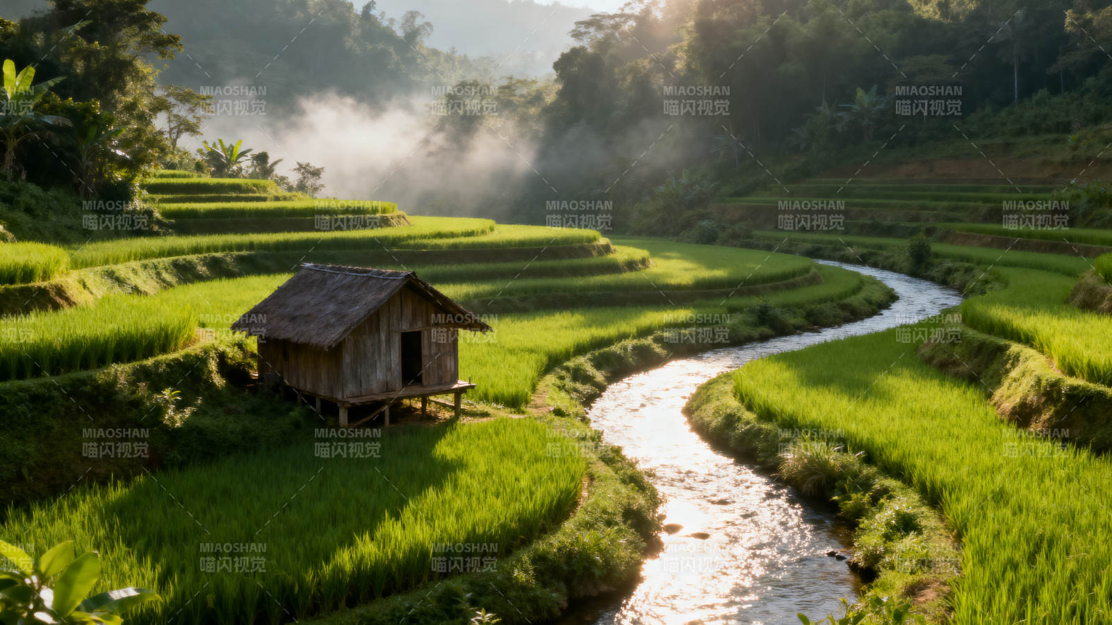 梯田晨雾小屋图片