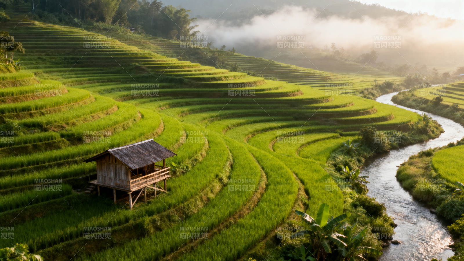 梯田晨曦小屋图片