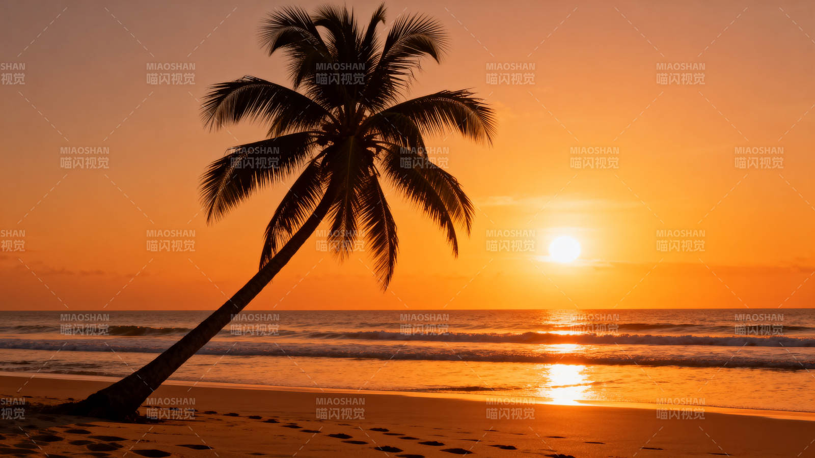 椰影斜阳海滩图片