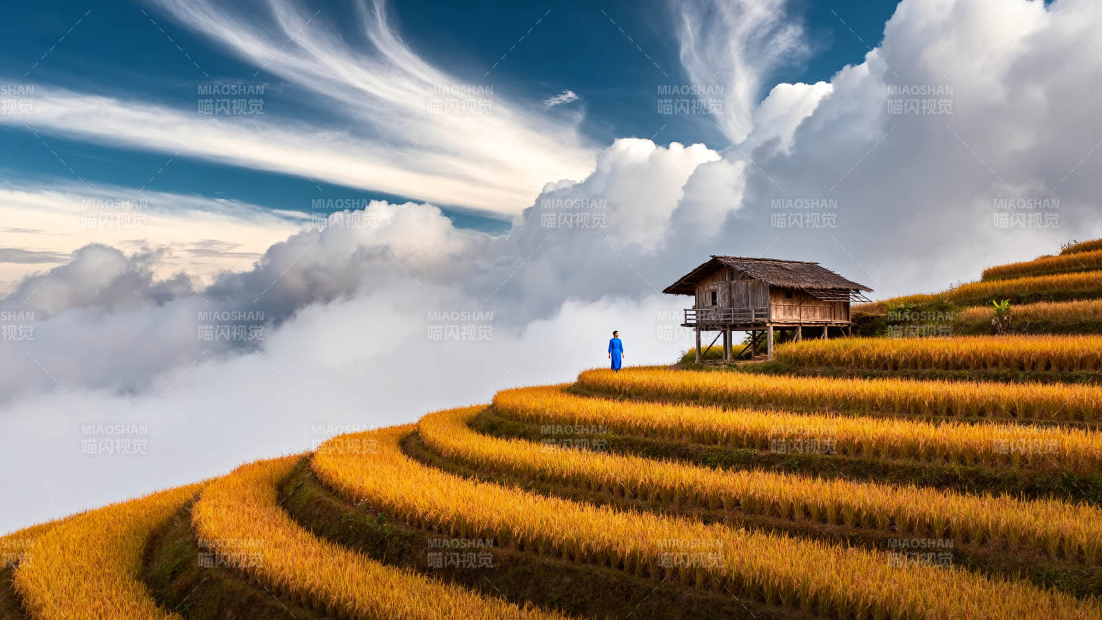 云海梯田人家图片