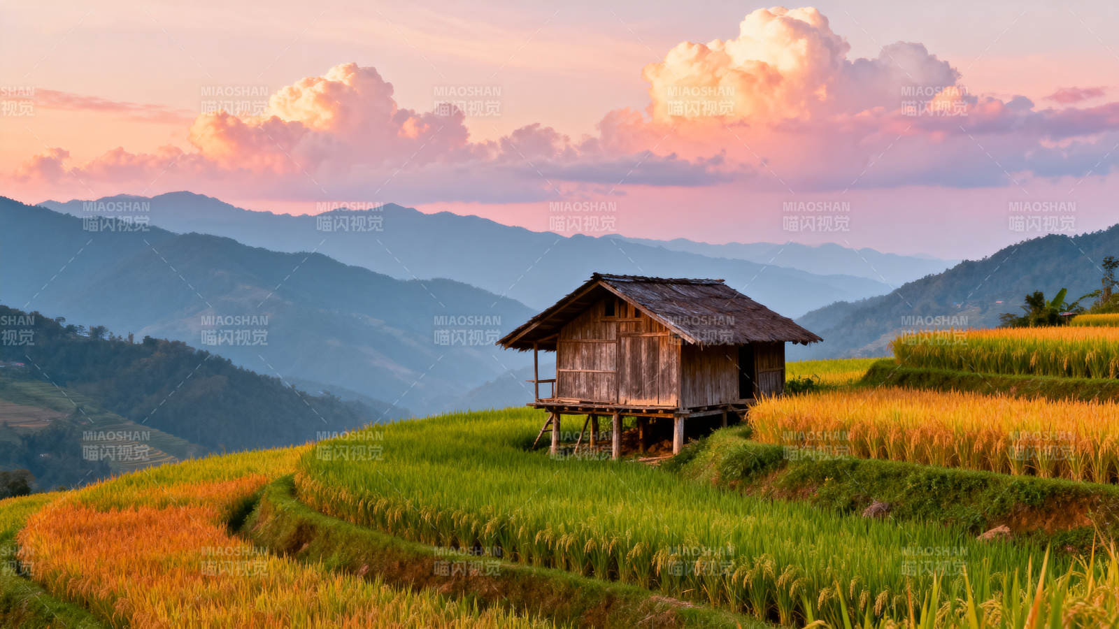 梯田暮色小屋图片