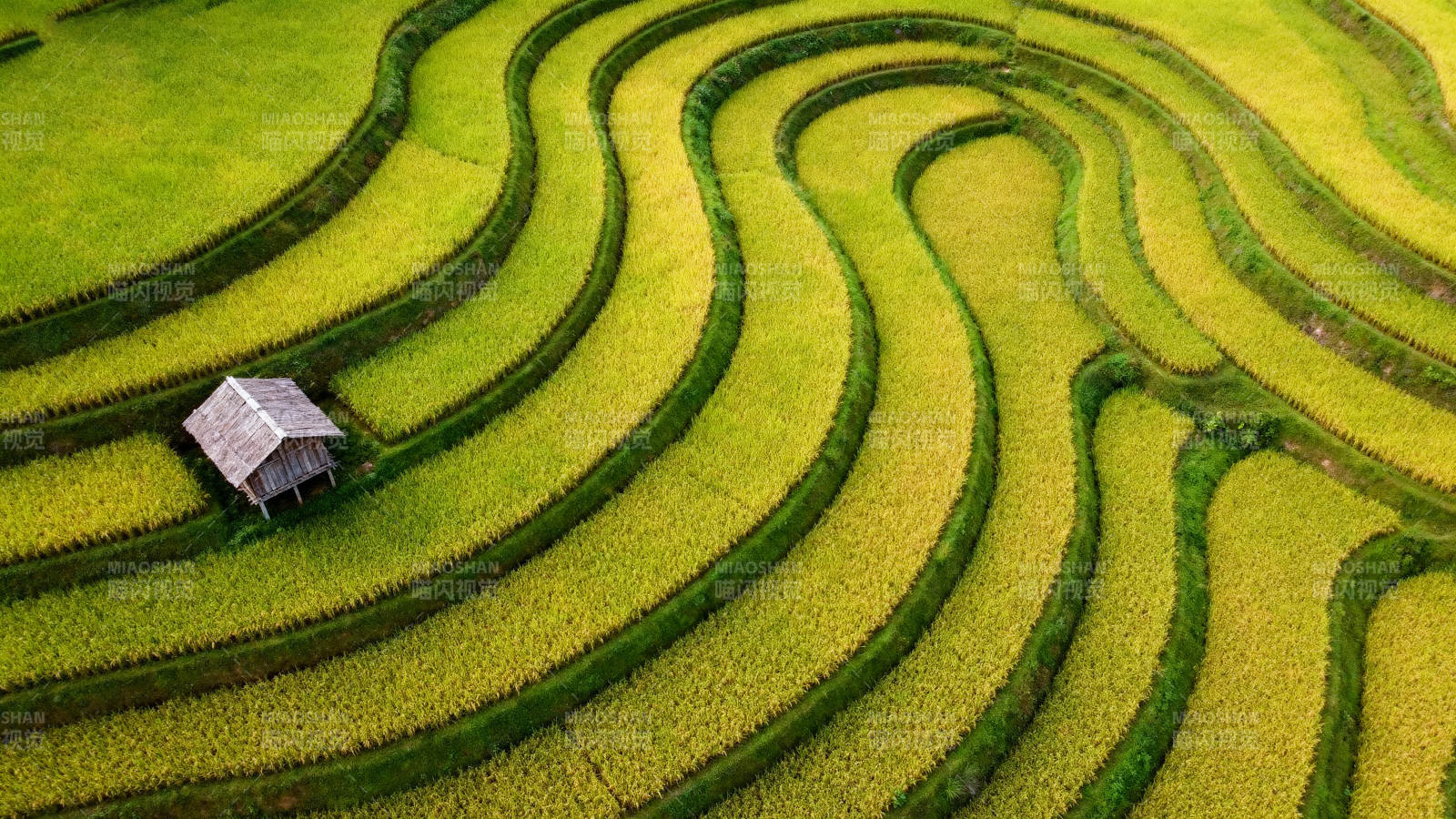 梯田上的小屋图片