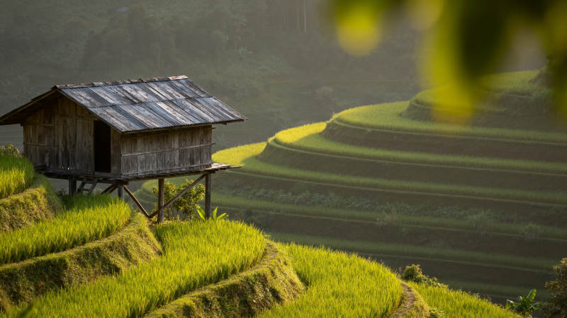 梯田上的木屋图片
