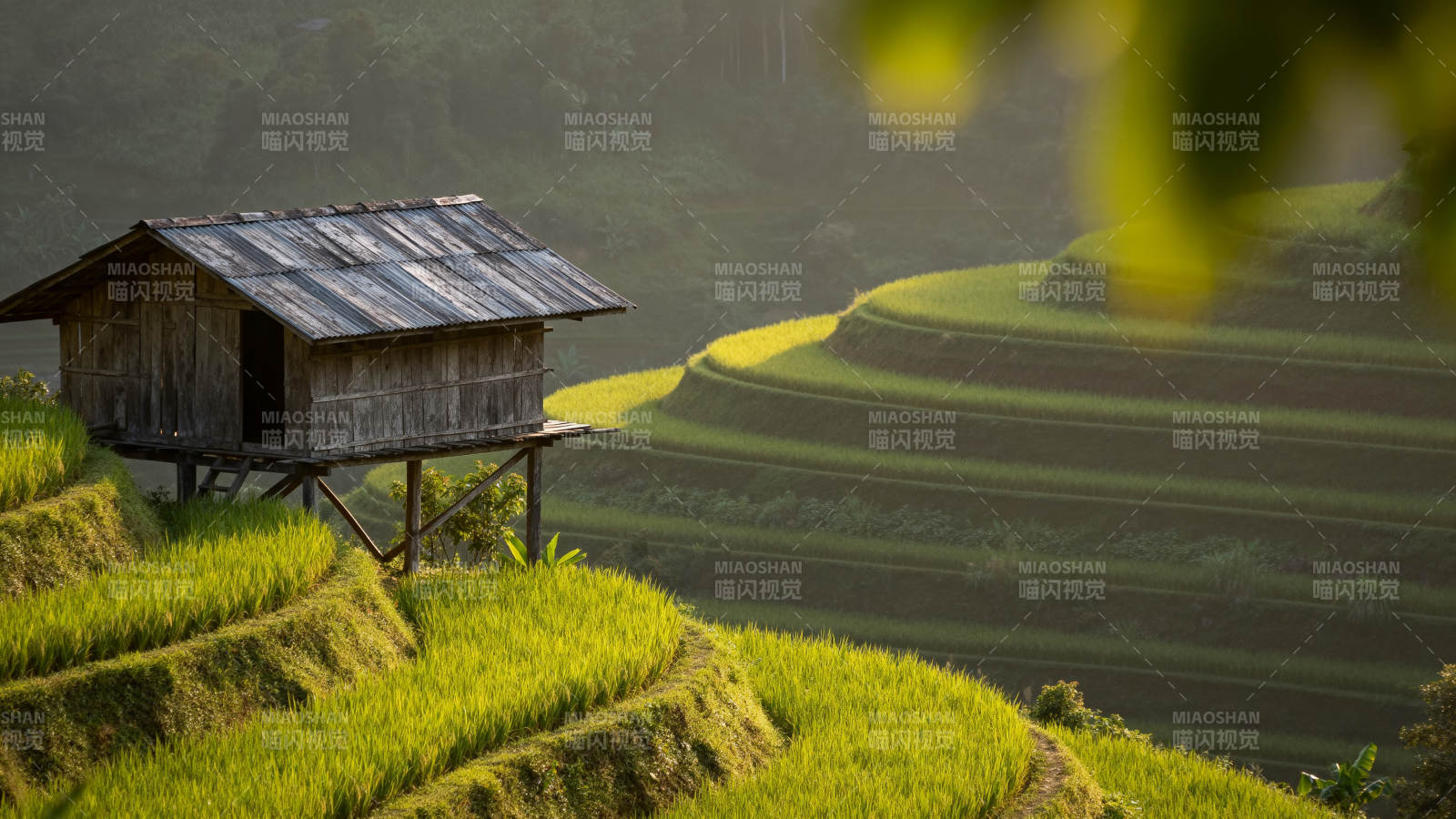 梯田上的木屋图片