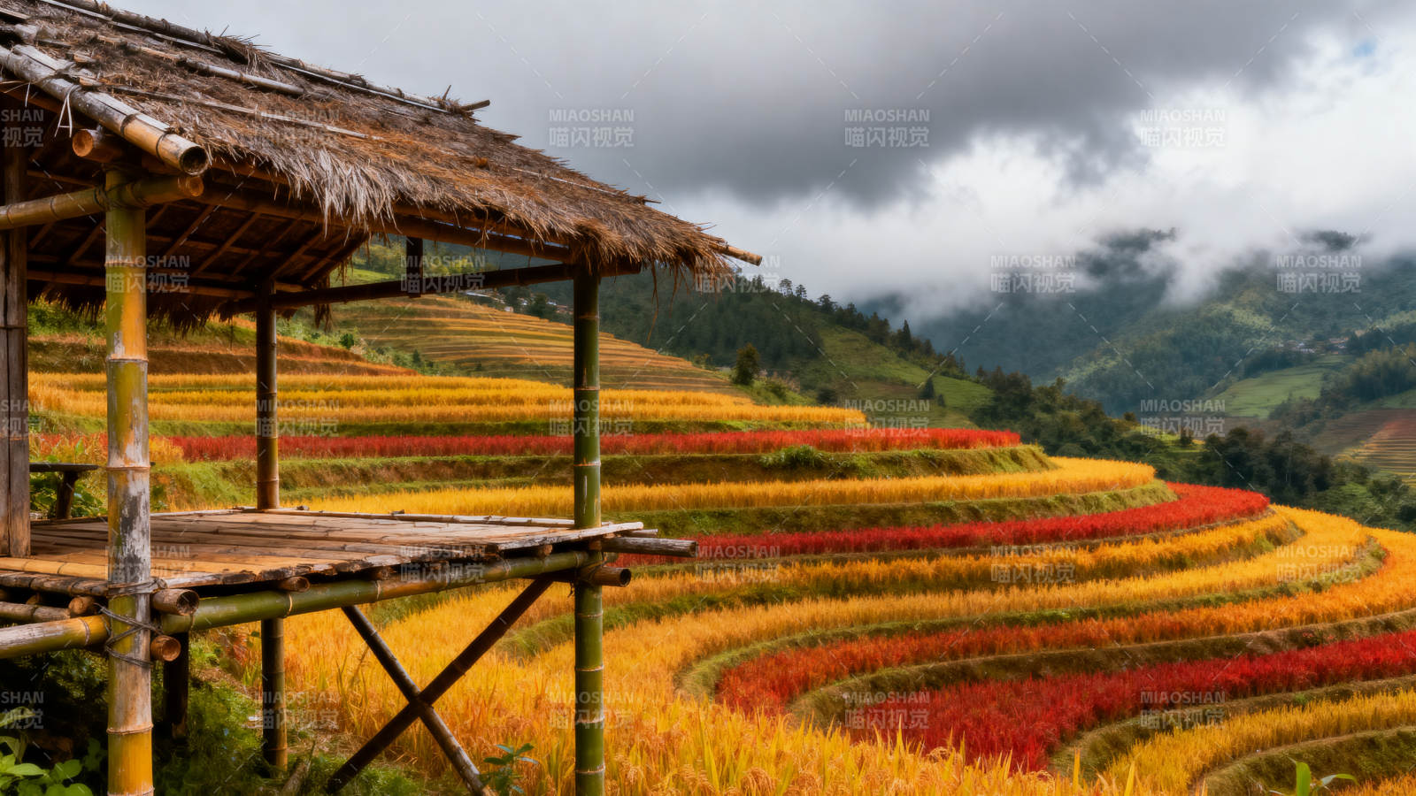 梯田秋色如画图片
