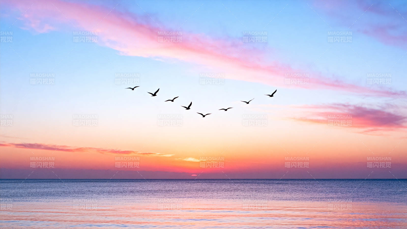 雁阵归飞日落时图片