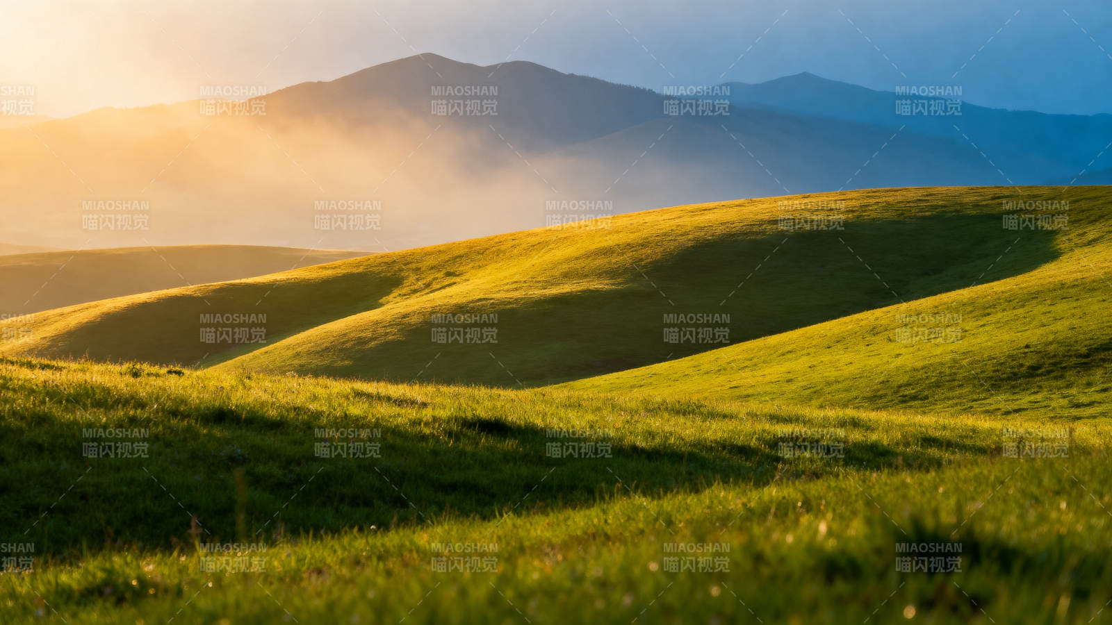 晨光中的绿野山丘图片