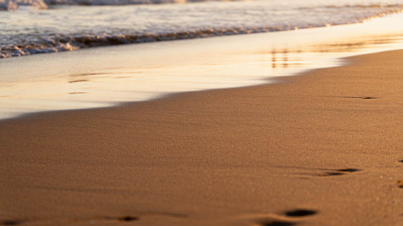 沙滩晨曦静谧美图片