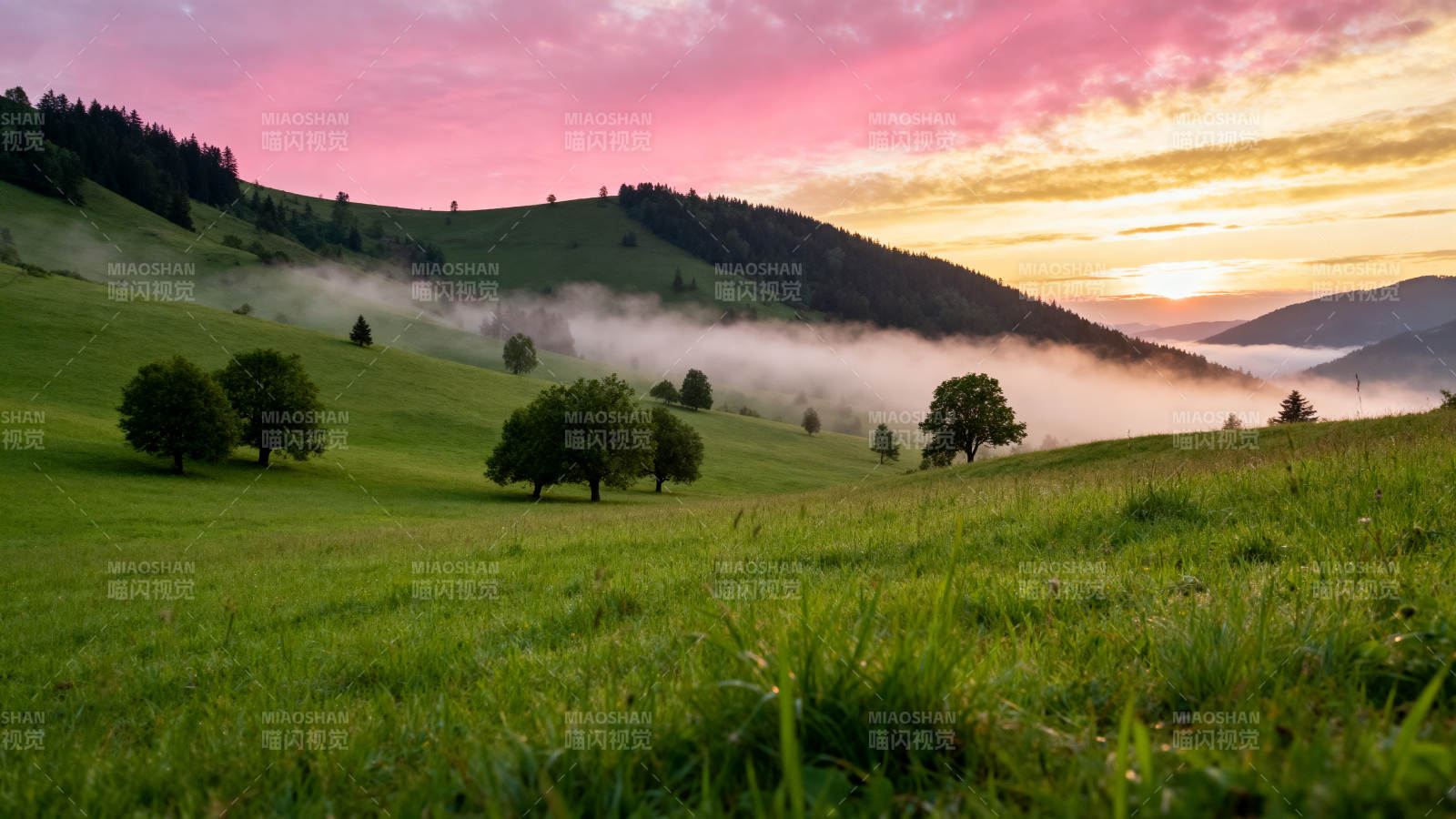 晨雾山野美景图片