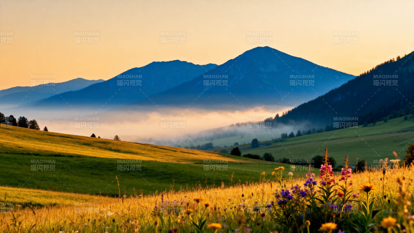 山间晨雾花田图片