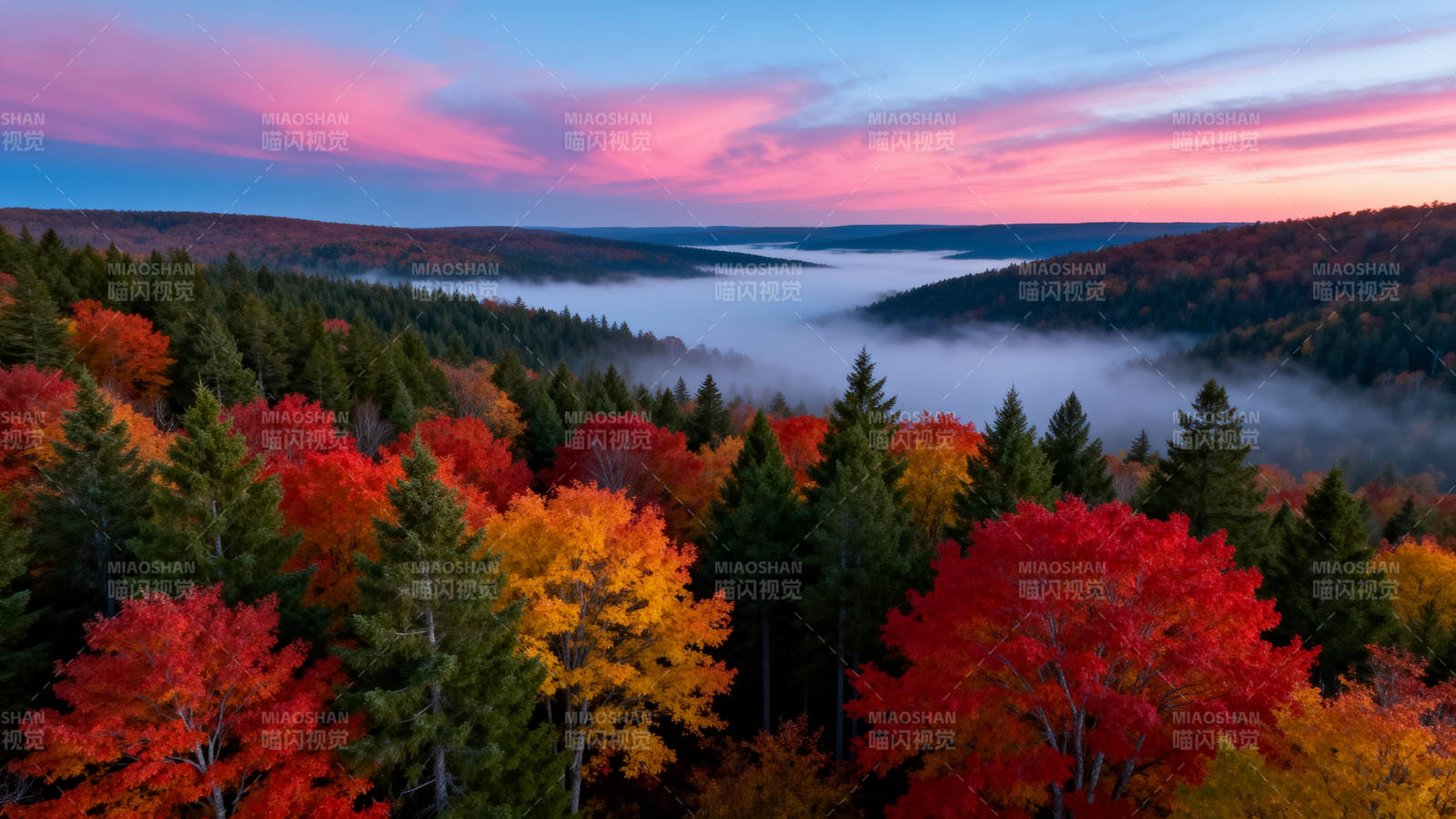 秋山晨雾映彩林图片
