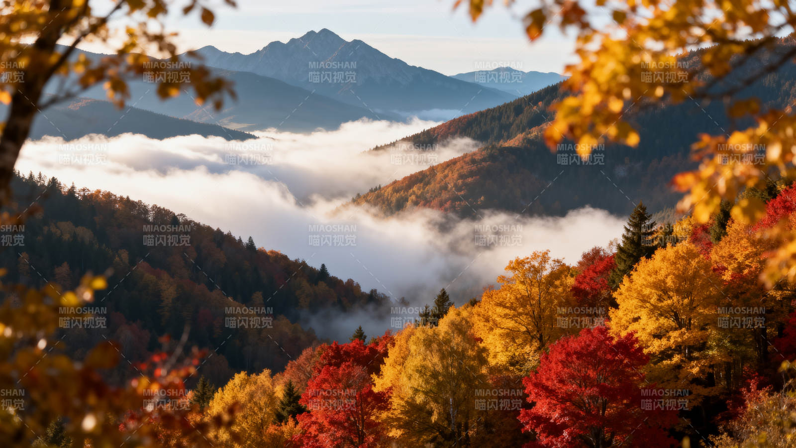 秋山云海图片