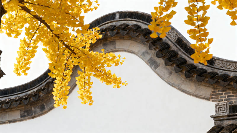 秋叶映古檐图片