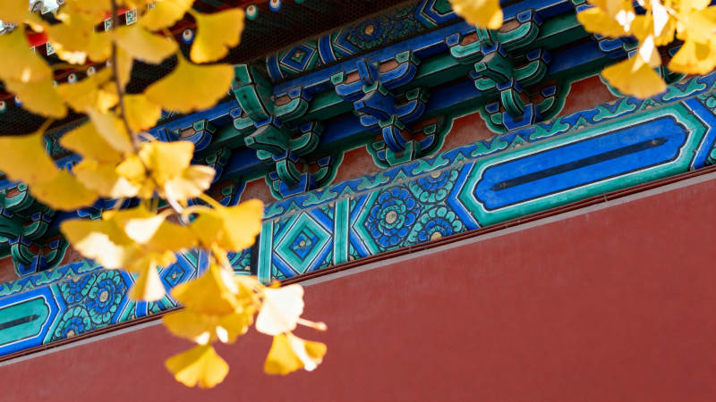 秋叶映古檐图片