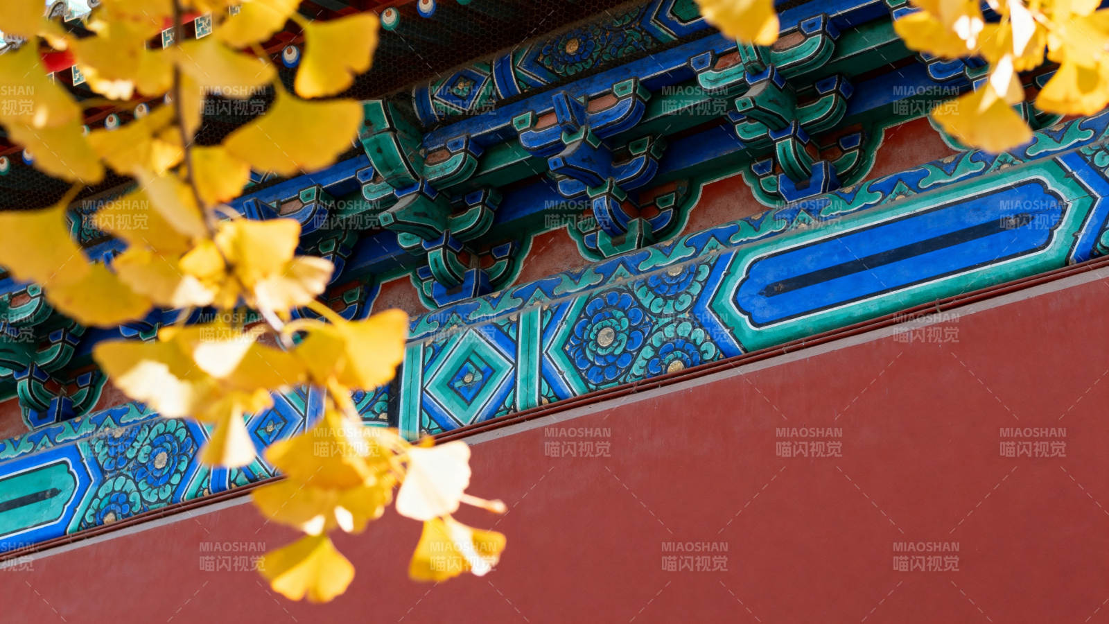 秋叶映古檐图片