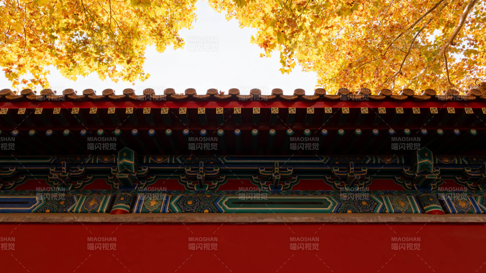 秋色映古檐图片