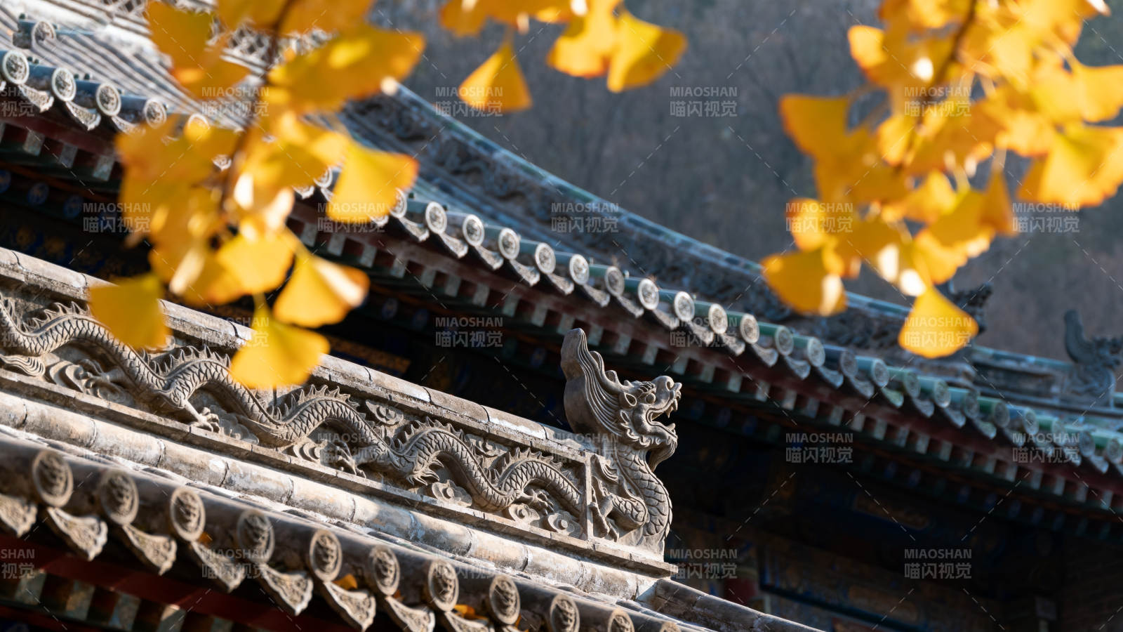 秋叶映古檐图片