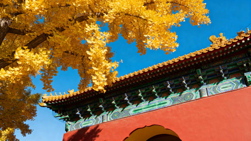 秋色映古建筑图片