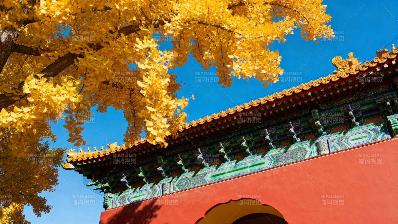 秋色映古建筑图片