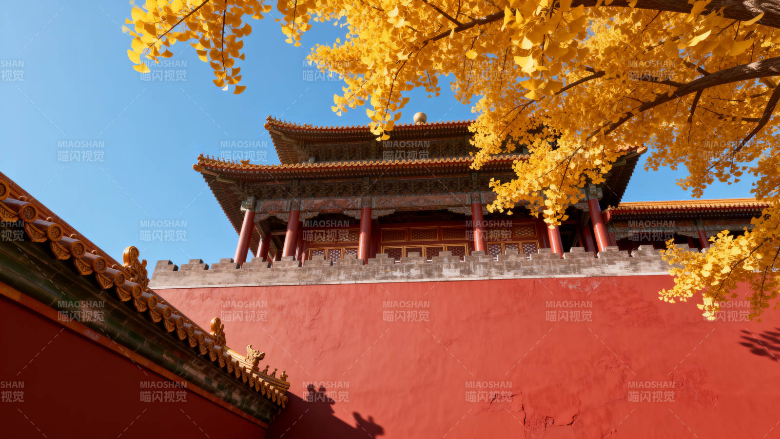 秋日故宫红墙黄叶图片
