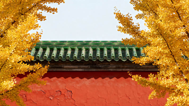 秋色映古墙图片