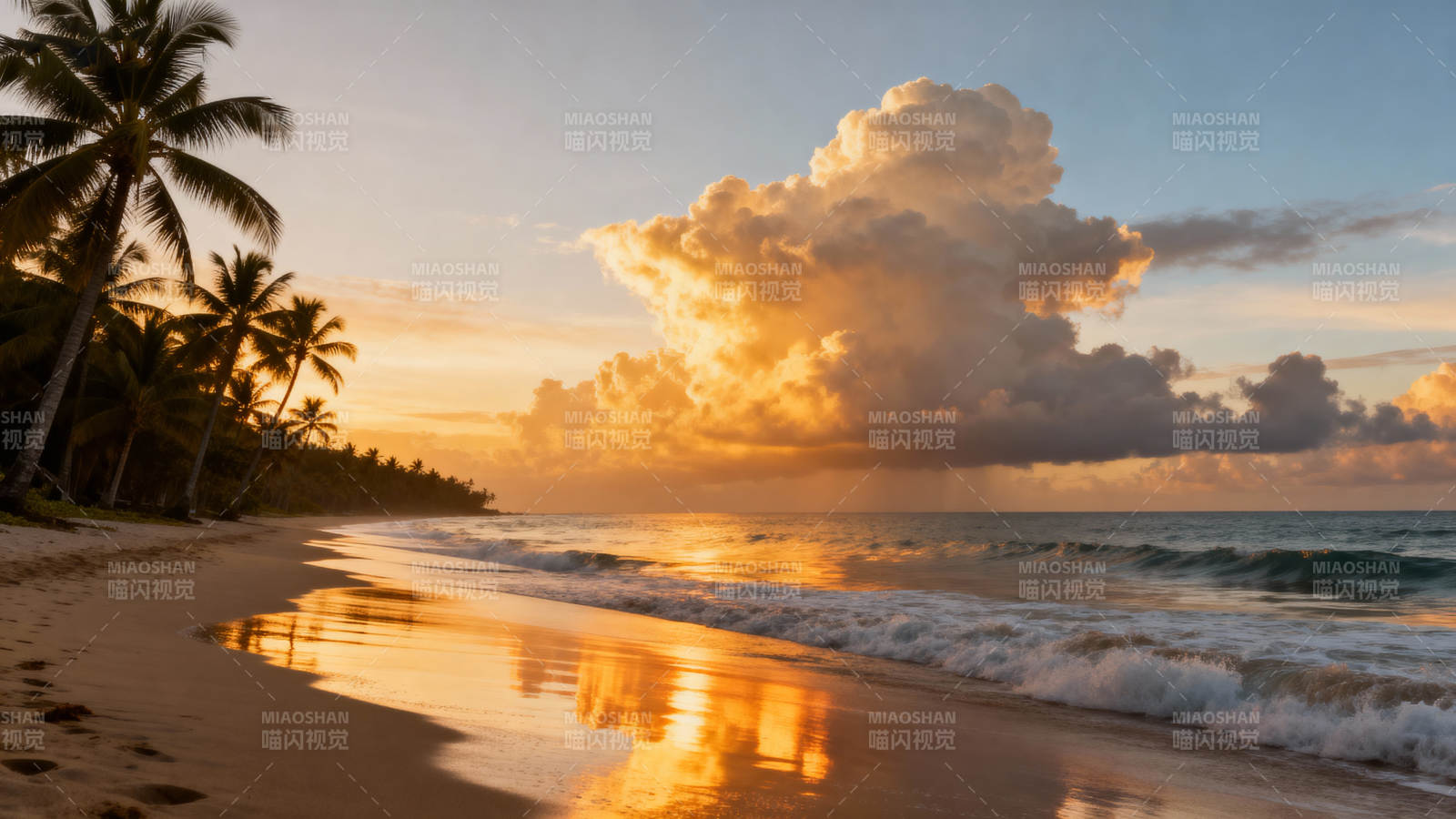 夕阳椰影海滩图片