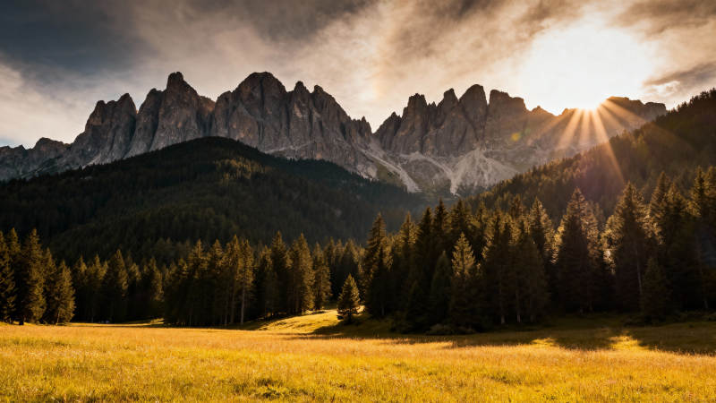 山间晨曦 金光洒野图片