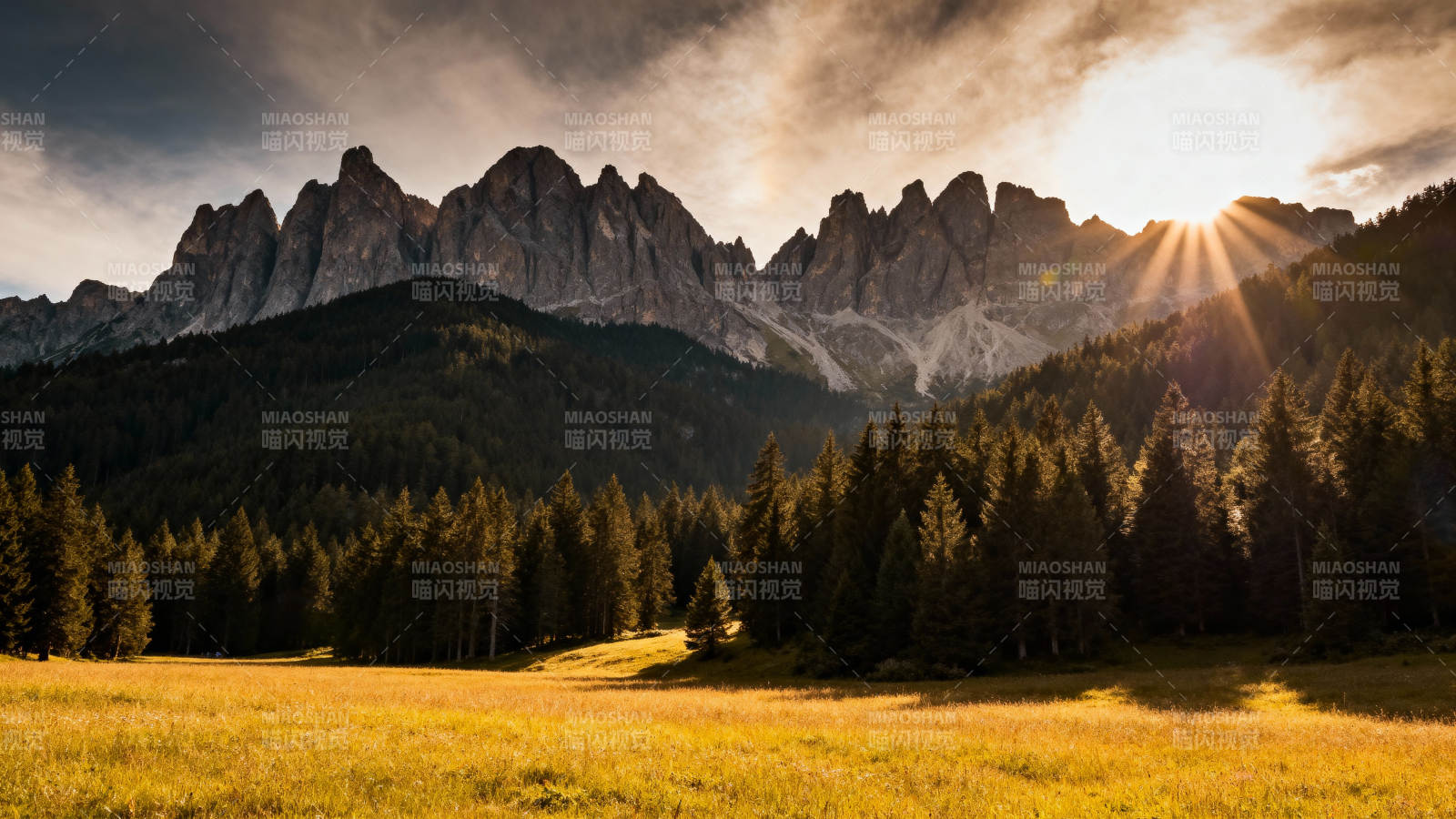 山间晨曦 金光洒野图片