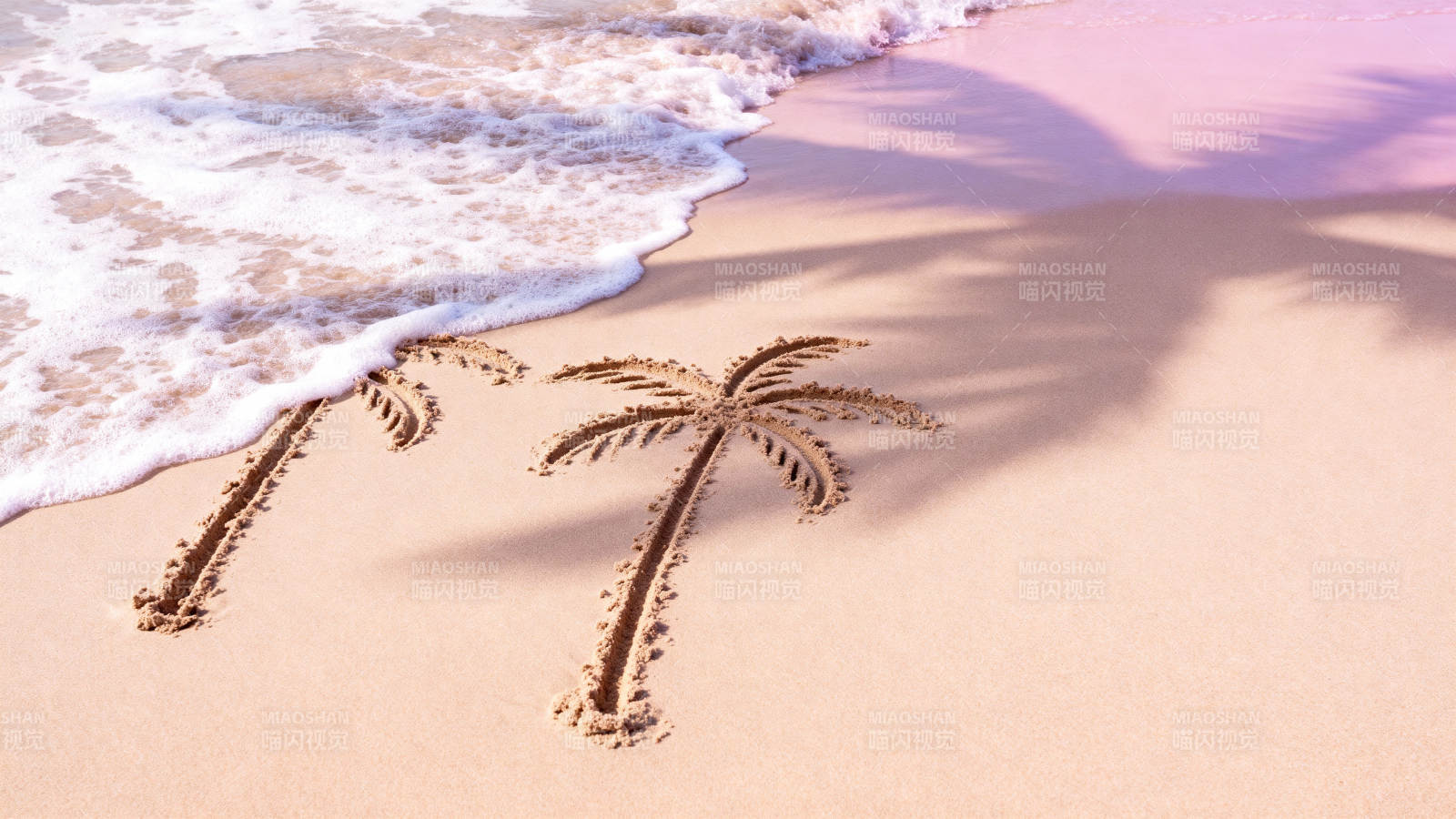 沙滩上的棕榈树影图片