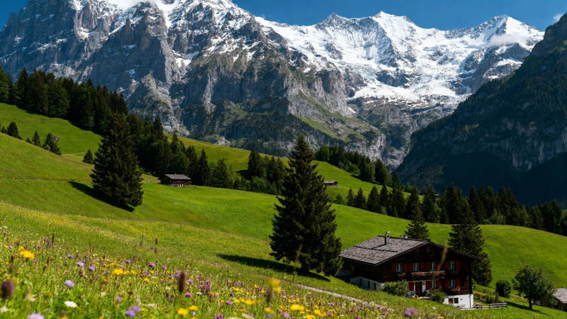 阿尔卑斯山间小屋图片