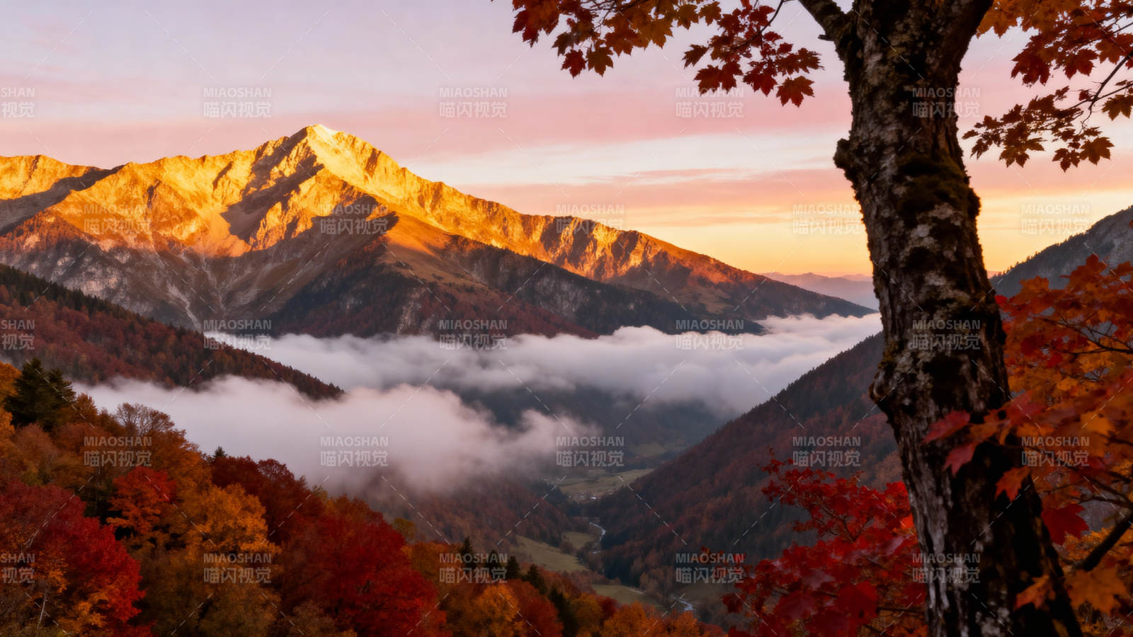 秋山云海日出图片