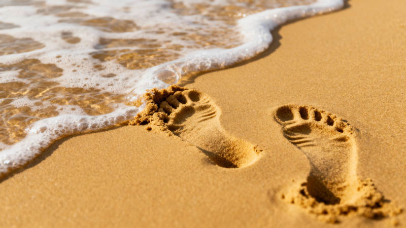 沙滩上的足迹图片