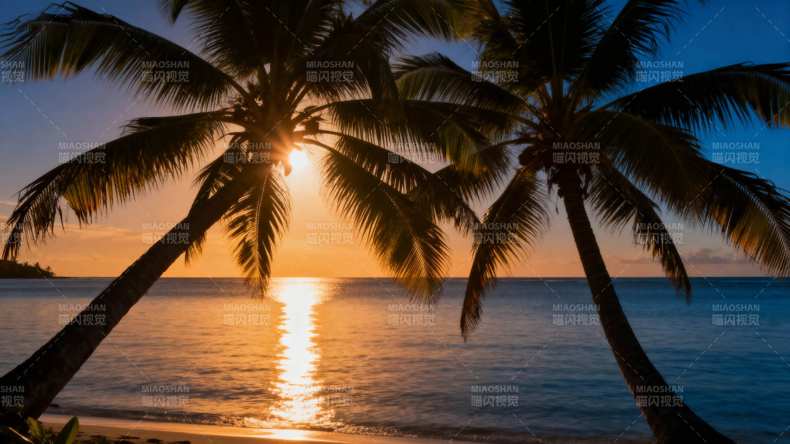 椰影夕阳海图片