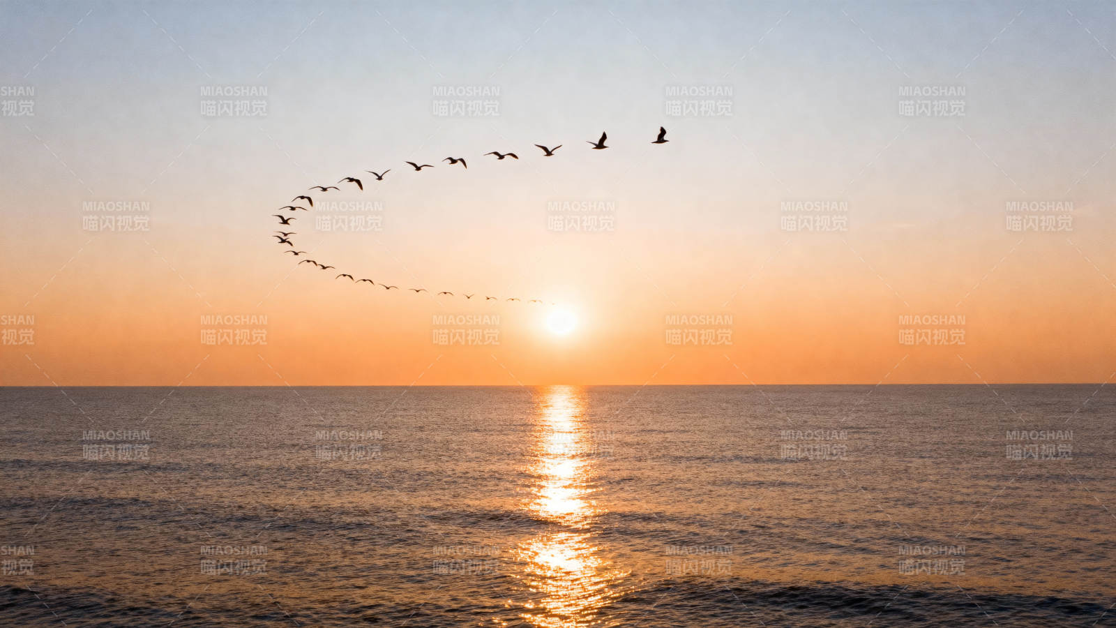 雁阵归日海天间图片