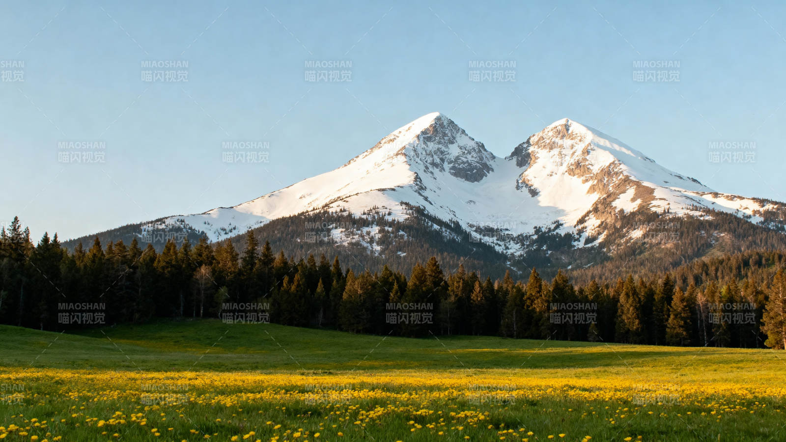 雪山草原春景图片