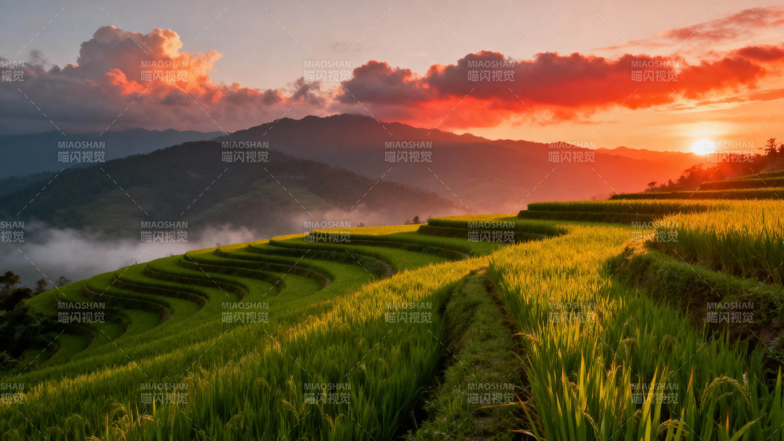 梯田日出美景图片