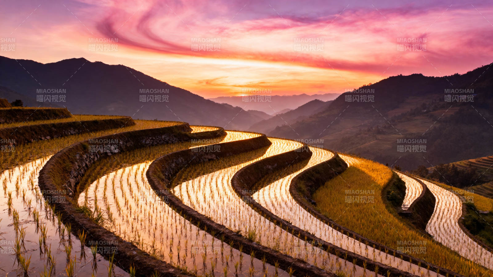 梯田日落美景图片