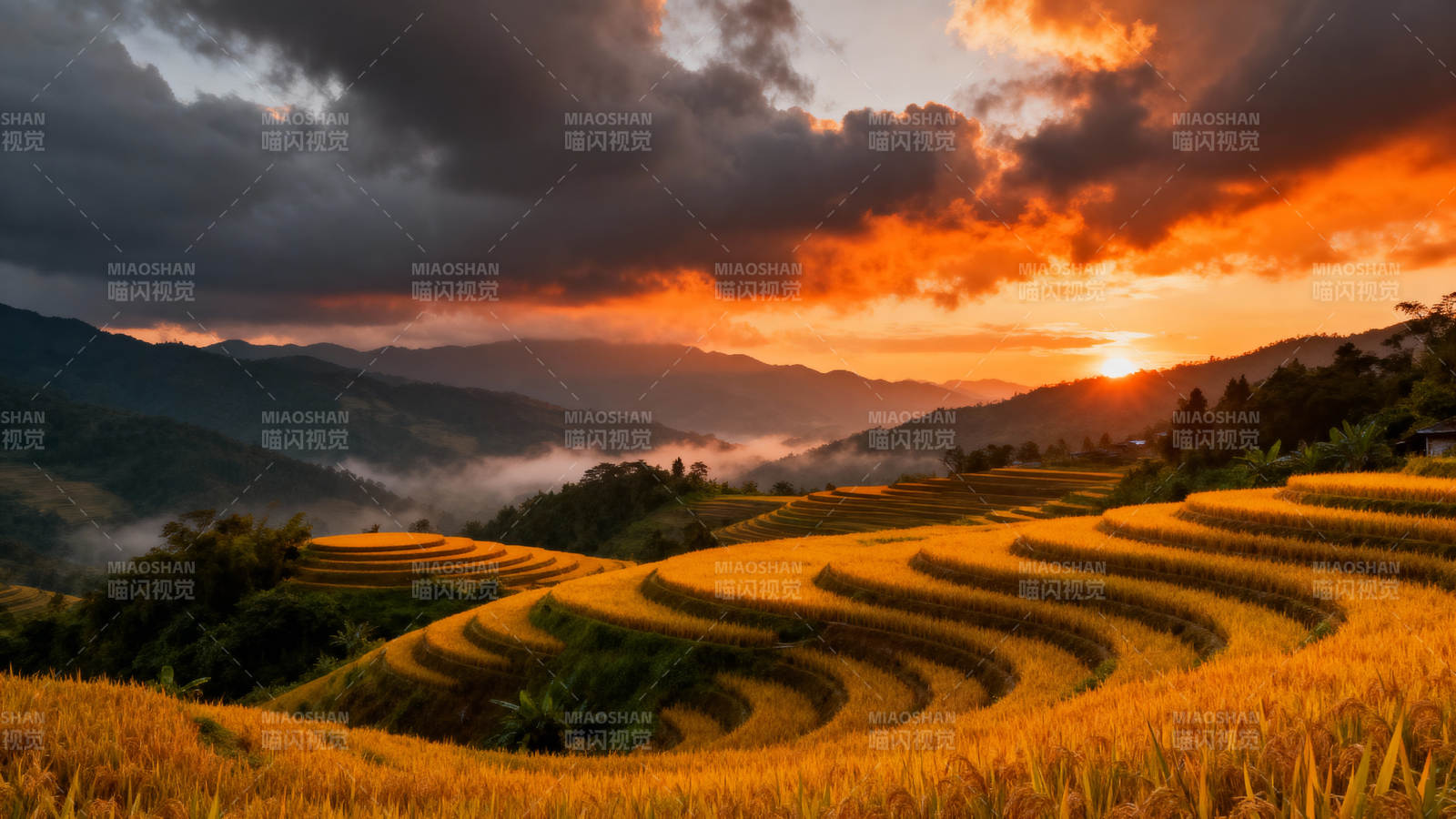 梯田日落美景图片