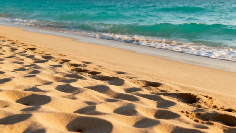 沙滩上的足迹图片